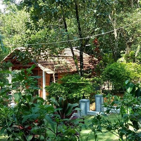 Leisure Vacations Whispering Woods Madikeri Exterior photo