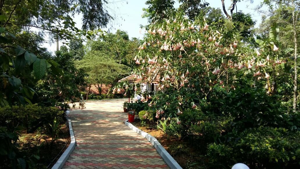 Leisure Vacations Whispering Woods Madikeri Exterior photo