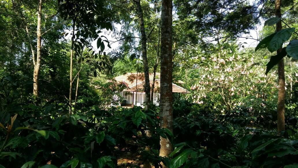 Leisure Vacations Whispering Woods Madikeri Exterior photo